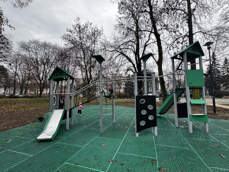 zdjęcie dekoracyjne