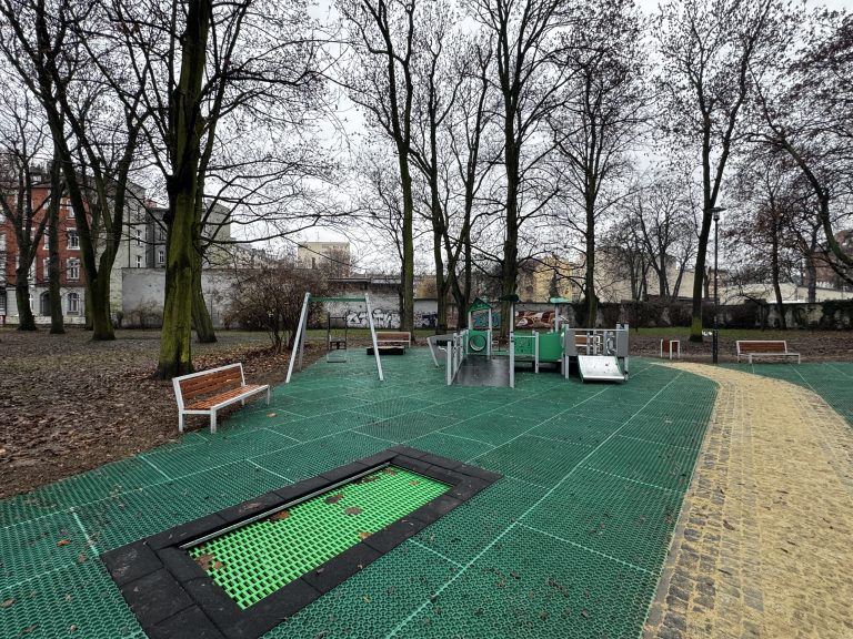 zdjęcie dekoracyjne