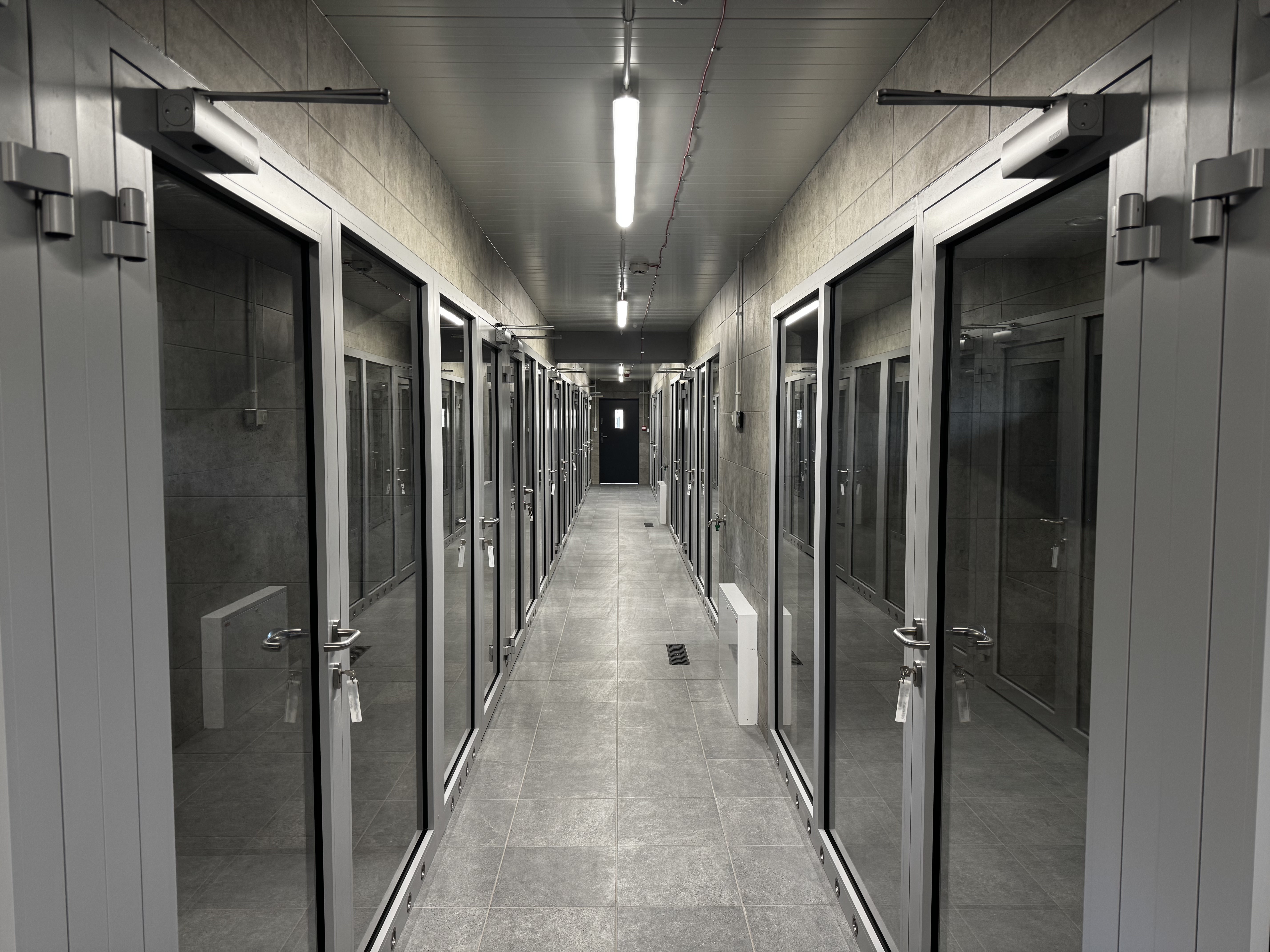 Modernizacja drugiego pawilonu w schronisku dla zwierząt