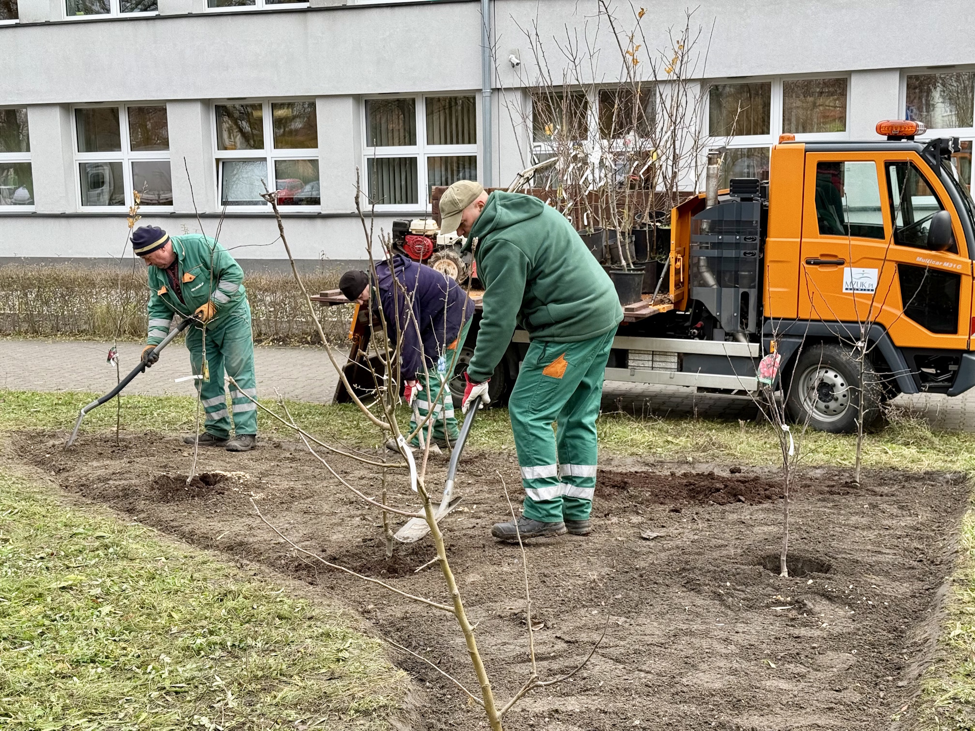 Powstaje miejski sad