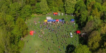 zdjęcie dekoracyjne