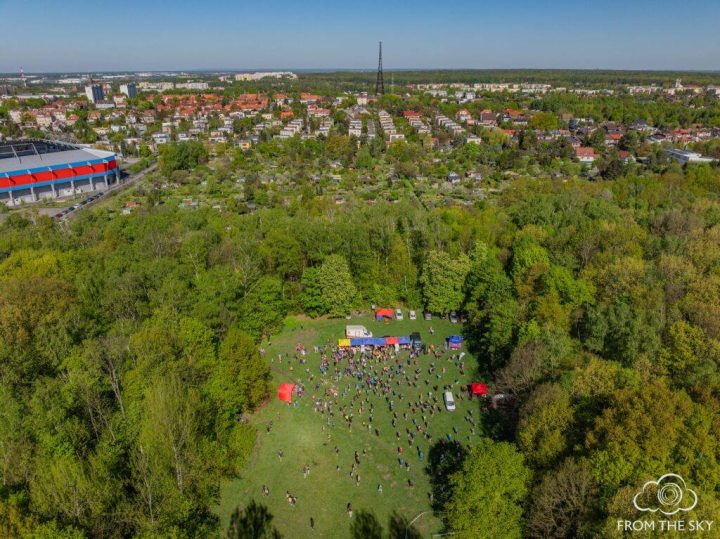 zdjęcie dekoracyjne