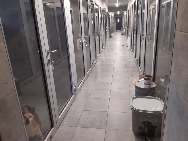 zdjęcie dekoracyjne