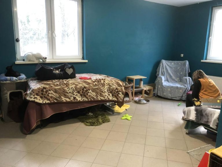 zdjęcie dekoracyjne