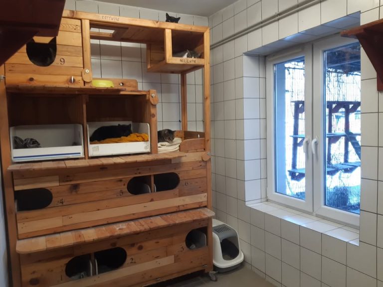 zdjęcie dekoracyjne