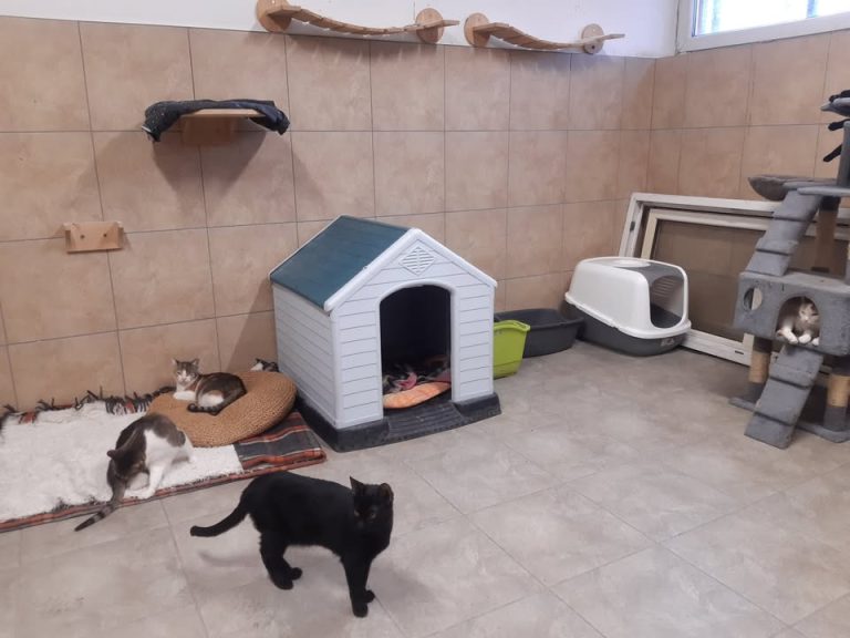 zdjęcie dekoracyjne