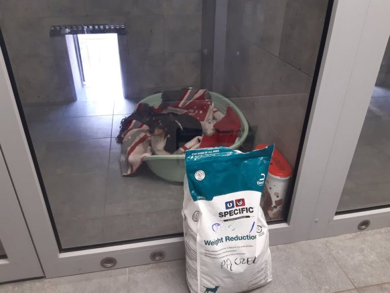 zdjęcie dekoracyjne