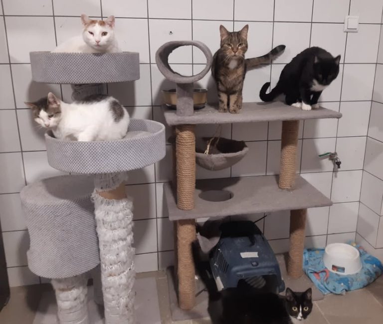 zdjęcie dekoracyjne