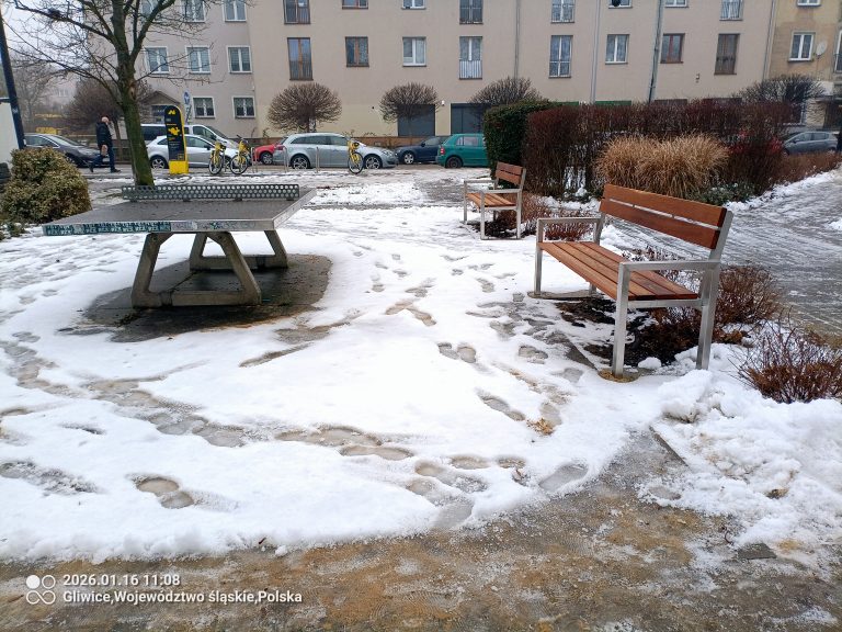 zdjęcie dekoracyjne