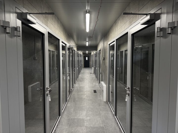 zdjęcie dekoracyjne