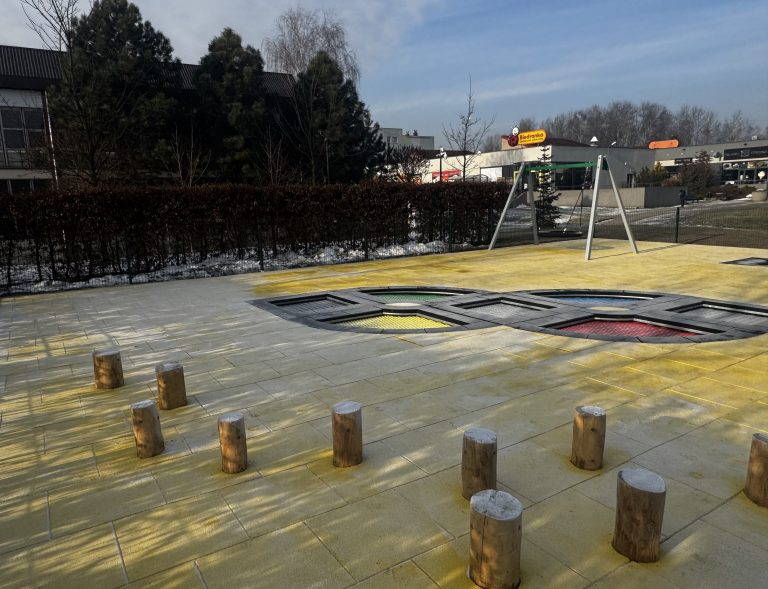 zdjęcie dekoracyjne