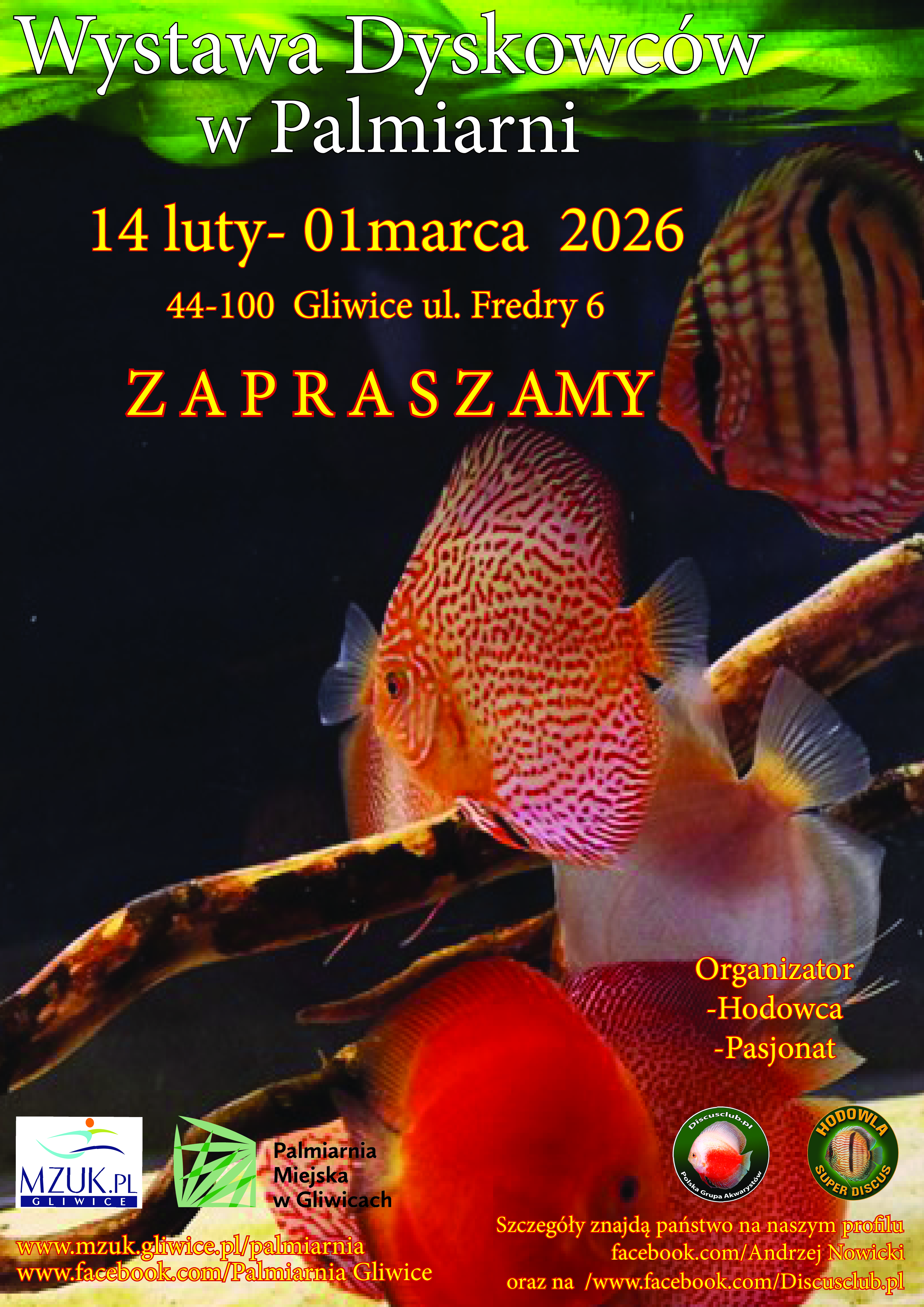 Kolorowy świat dyskowców