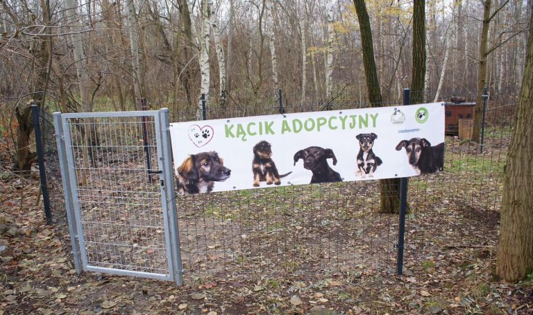 zdjęcie dekoracyjne