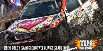 zdjęcie dekoracyjne