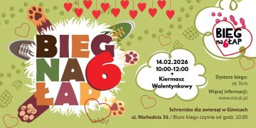 zdjęcie dekoracyjne