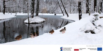 zdjęcie dekoracyjne