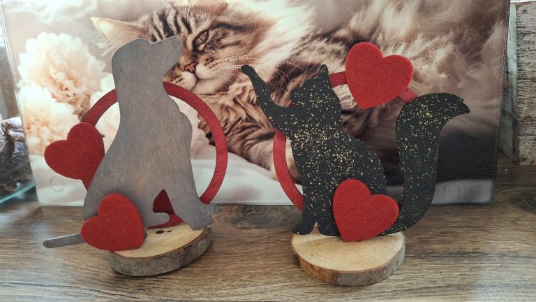 zdjęcie dekoracyjne