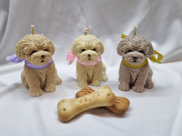 zdjęcie dekoracyjne