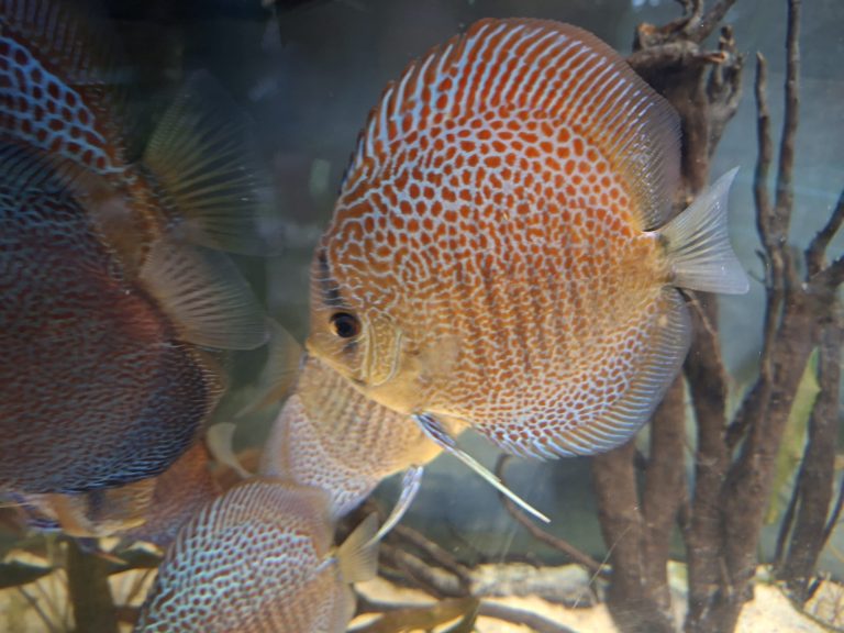 zdjęcie dekoracyjne