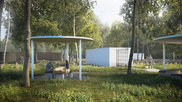 zdjęcie dekoracyjne