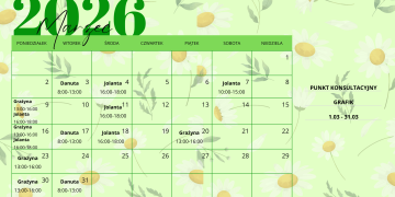 zdjęcie dekoracyjne