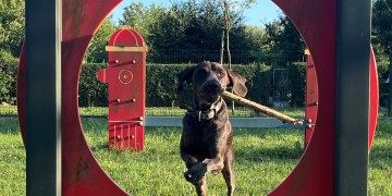 zdjęcie dekoracyjne