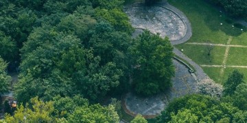 zdjęcie dekoracyjne