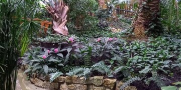 zdjęcie dekoracyjne