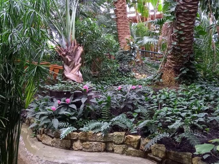 zdjęcie dekoracyjne