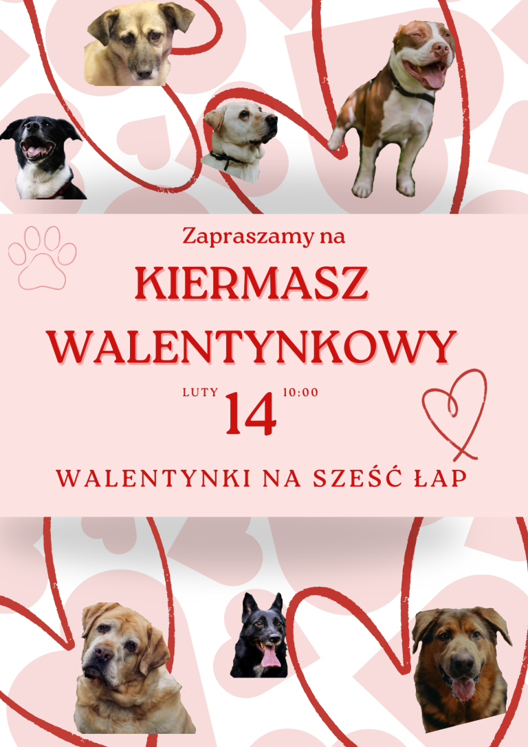 zdjęcie dekoracyjne