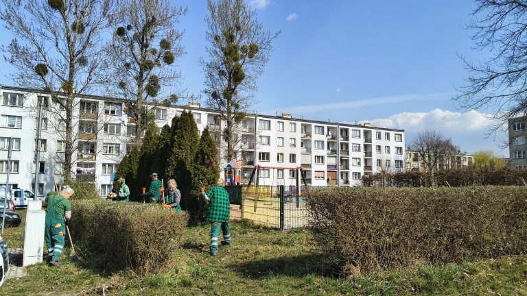 zdjęcie dekoracyjne