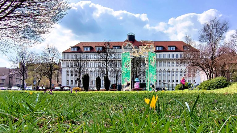 zdjęcie dekoracyjne