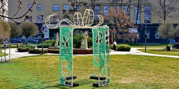 zdjęcie dekoracyjne