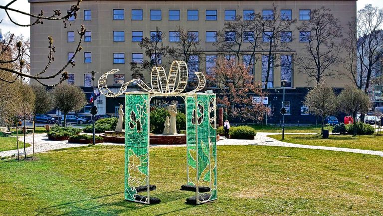 zdjęcie dekoracyjne