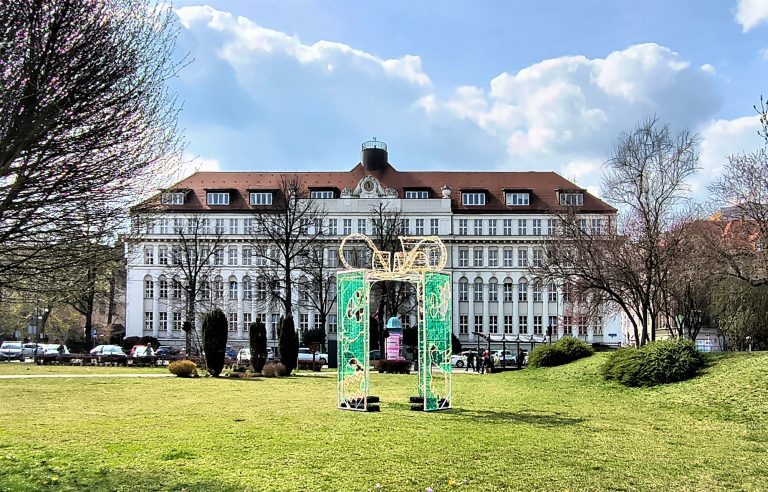 zdjęcie dekoracyjne