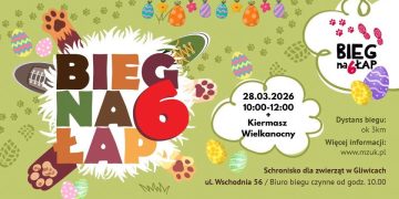 zdjęcie dekoracyjne