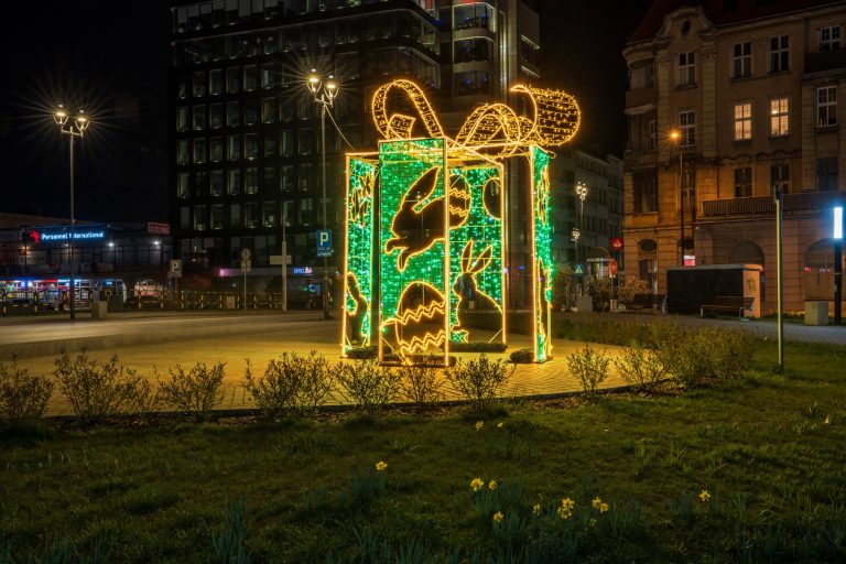 zdjęcie dekoracyjne