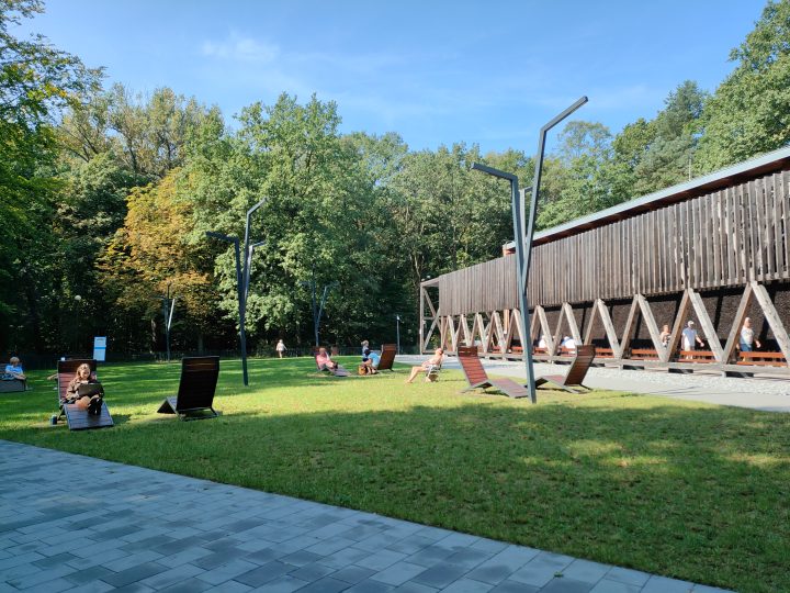 zdjęcie dekoracyjne