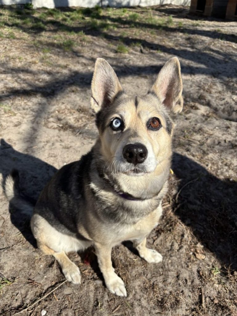 zdjęcie dekoracyjne