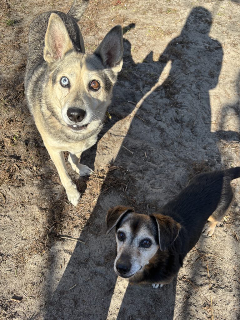 zdjęcie dekoracyjne