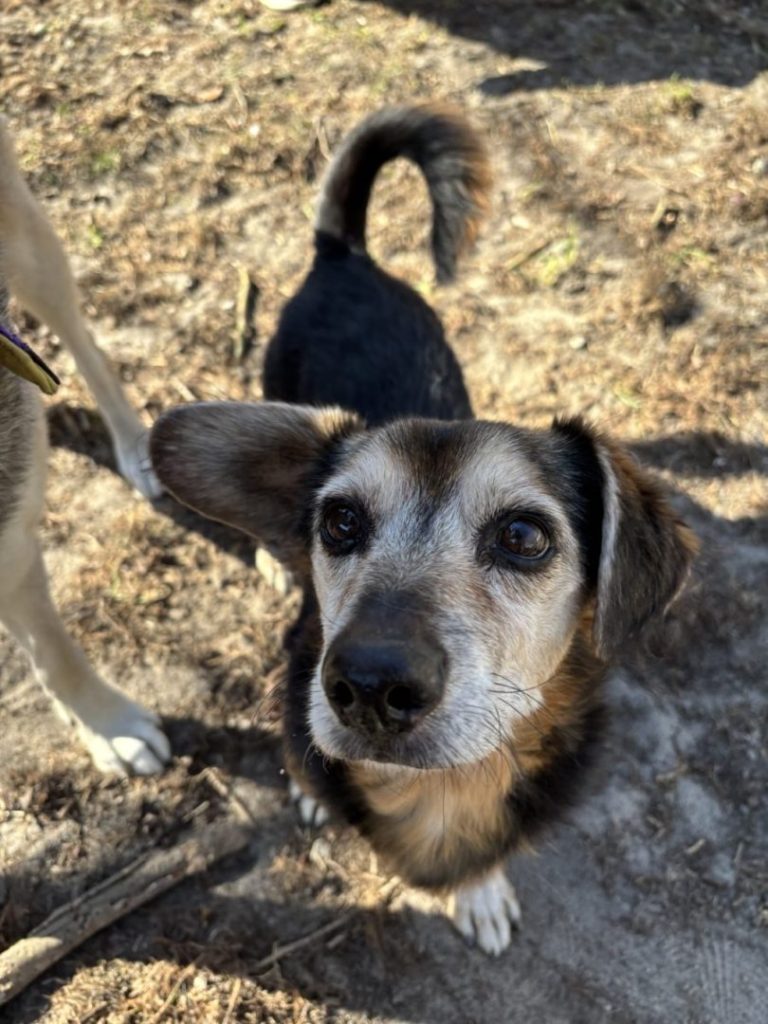 zdjęcie dekoracyjne