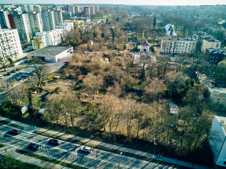 zdjęcie dekoracyjne