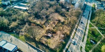 zdjęcie dekoracyjne