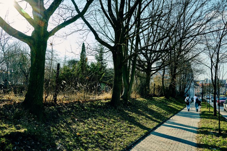 zdjęcie dekoracyjne