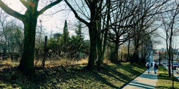 zdjęcie dekoracyjne