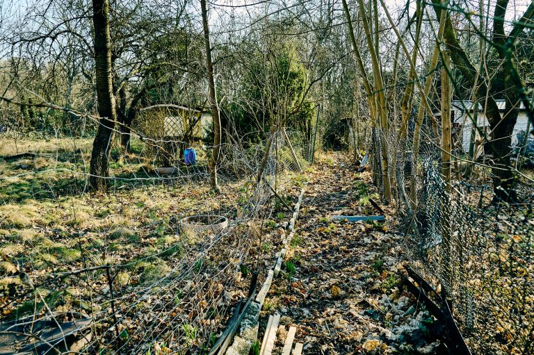 zdjęcie dekoracyjne