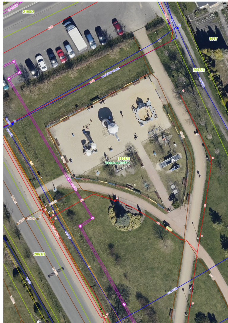 zdjęcie dekoracyjne