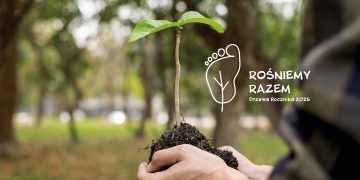 zdjęcie dekoracyjne