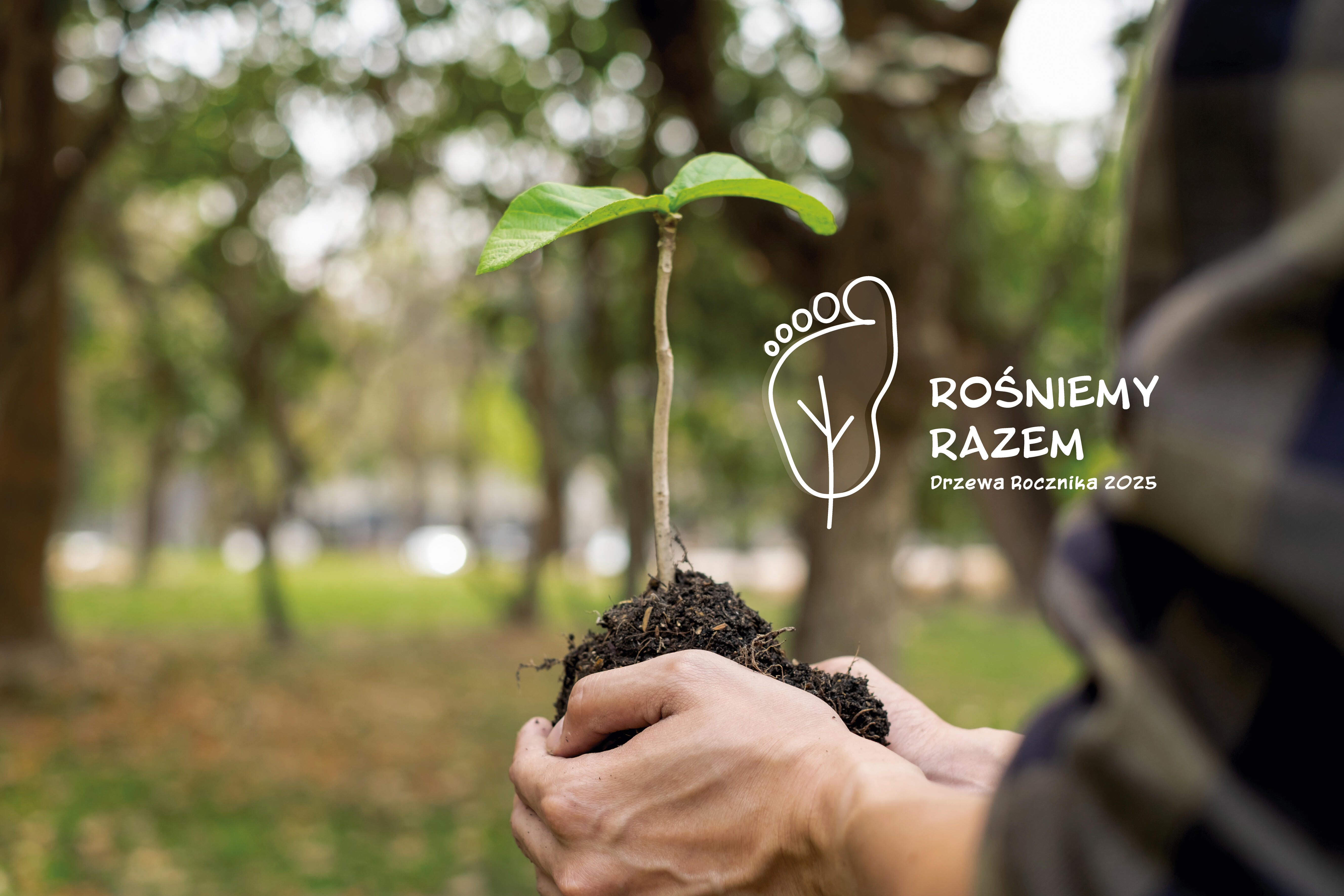 „Rośniemy Razem – Drzewa Rocznika 2025”