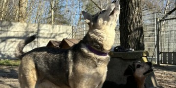 zdjęcie dekoracyjne